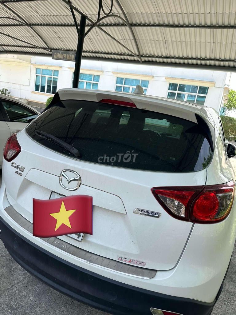 Ảnh số 6