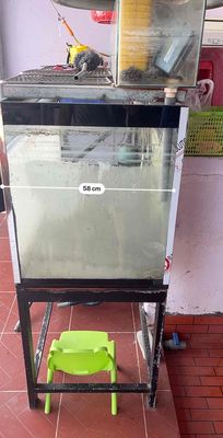 Thanh lý hồ cá. Mua bán Phụ kiện, Thức ăn, Dịch vụ tại Thành phố Tân An Long An được đăng bởi Lê Huỳnh Duy
