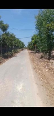 mình chính chủ cần bán. Mua bán đất tại Huyện Tân Phú Đồng Nai được đăng bởi Hoang vuong duy tri