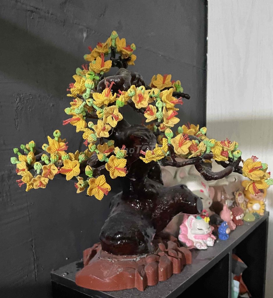 Cây cảnh bonsai bọc nilon. Mua bán Cây cảnh, đồ trang trí tại Thành phố Bà Rịa Bà Rịa - Vũng Tàu được đăng bởi jenna nguyen hình 1