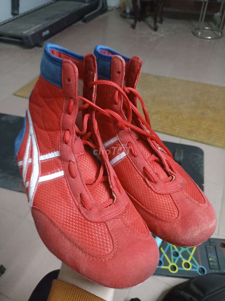 Giày boxing winner size 43