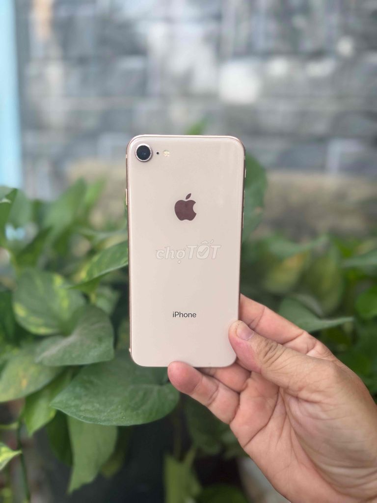iPhone 8 256GB Vàng hồng. Mua bán Điện thoại tại Huyện Hóc Môn Tp Hồ Chí Minh được đăng bởi Sonle hình 1