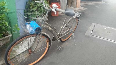 Xe đạp Flyco màu Bạc. Mua bán Xe đạp tại Quận 10 Tp Hồ Chí Minh được đăng bởi Hai