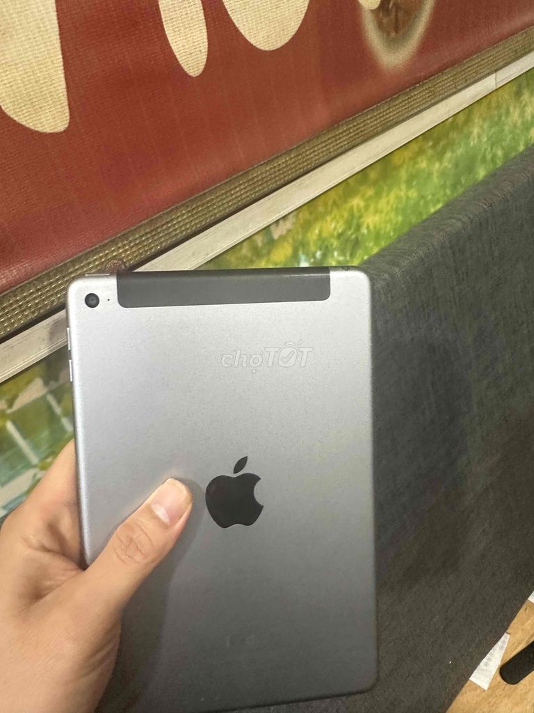 ipad mini 4 4g