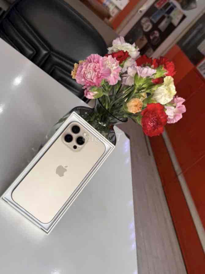 16promax 256gb vàng qtế mỹ pin100 zin áp suất. Mua bán Điện thoại tại Quận 3 Tp Hồ Chí Minh được đăng bởi Nam Á Mobile hình 1