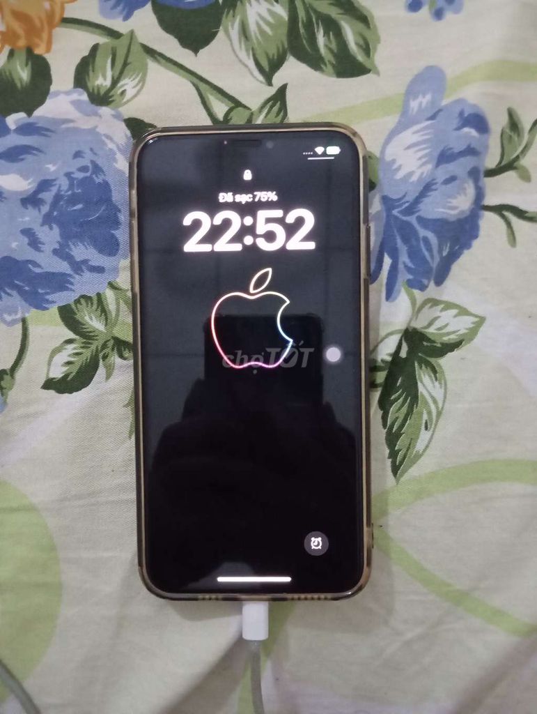 Apple iPhone Xs Max Đã qua sử dụng. Mua bán Điện thoại tại Thành phố Bạc Liêu Bạc Liêu được đăng bởi Khanh Duy hình 1