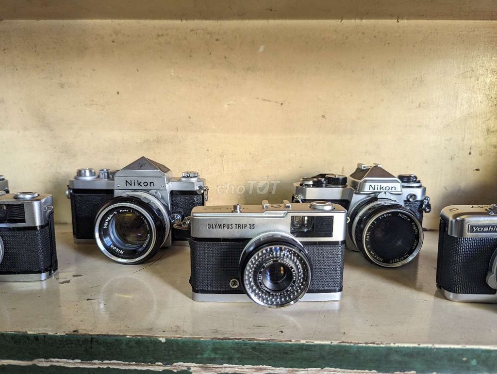 Máy ảnh film Nikon, Yashica, Olympus cổ điển