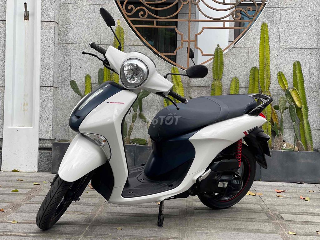 janus 2019 bản kỉ niệm đẹp mê ly xe chính chủ 43