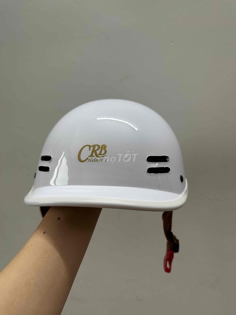 Nón báo hiểm cá heo