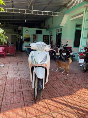 xe sh gia đình dư Sài. Mua bán Xe máy tại Thành phố Quảng Ngãi Quảng Ngãi được đăng bởi Quynh