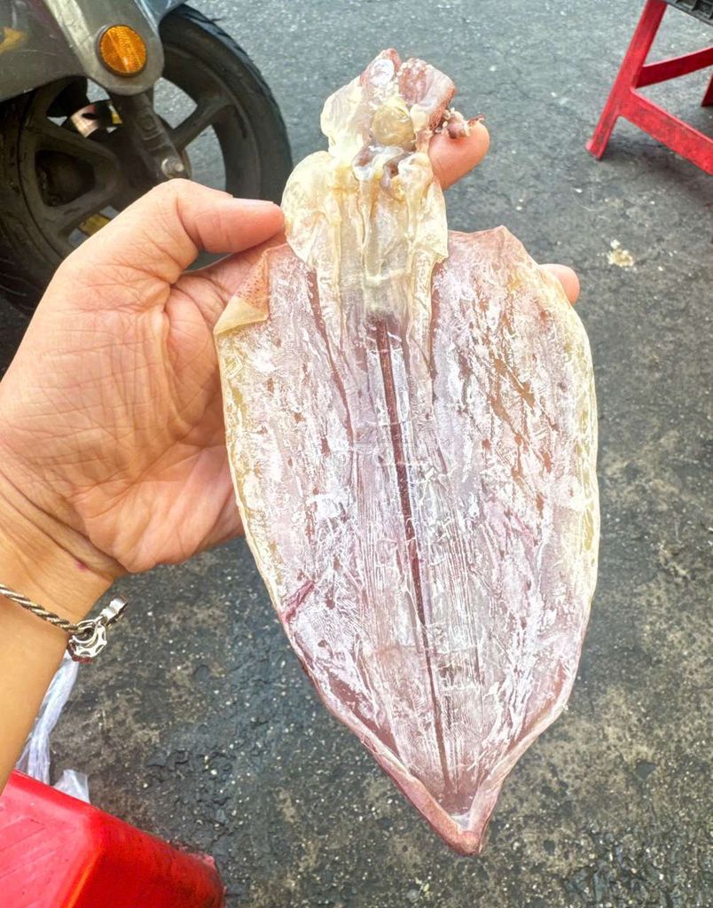 Khô mực Mực ống tươi sống 500gr. Mua bán Đồ ăn, thực phẩm và các loại khác tại Quận Phú Nhuận Tp Hồ Chí Minh được đăng bởi Hà Nhi Cao hình 1