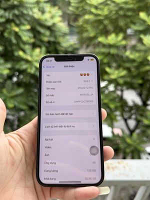 Iphone 12pro máy zin full pin 93 cá nhân dùng. Mua bán Điện thoại tại Quận Hà Đông Hà Nội được đăng bởi Nguyễn Toán