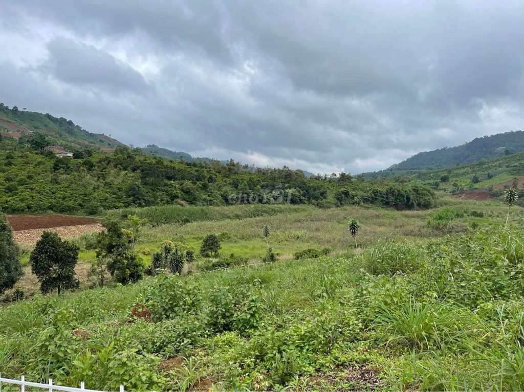 Chính chủ bán đất 2MT quy hoạch thổ cư, view hồ ngọc. Mua bán đất tại Huyện Bảo Lâm Lâm Đồng được đăng bởi Ngọc Lâm hình 4