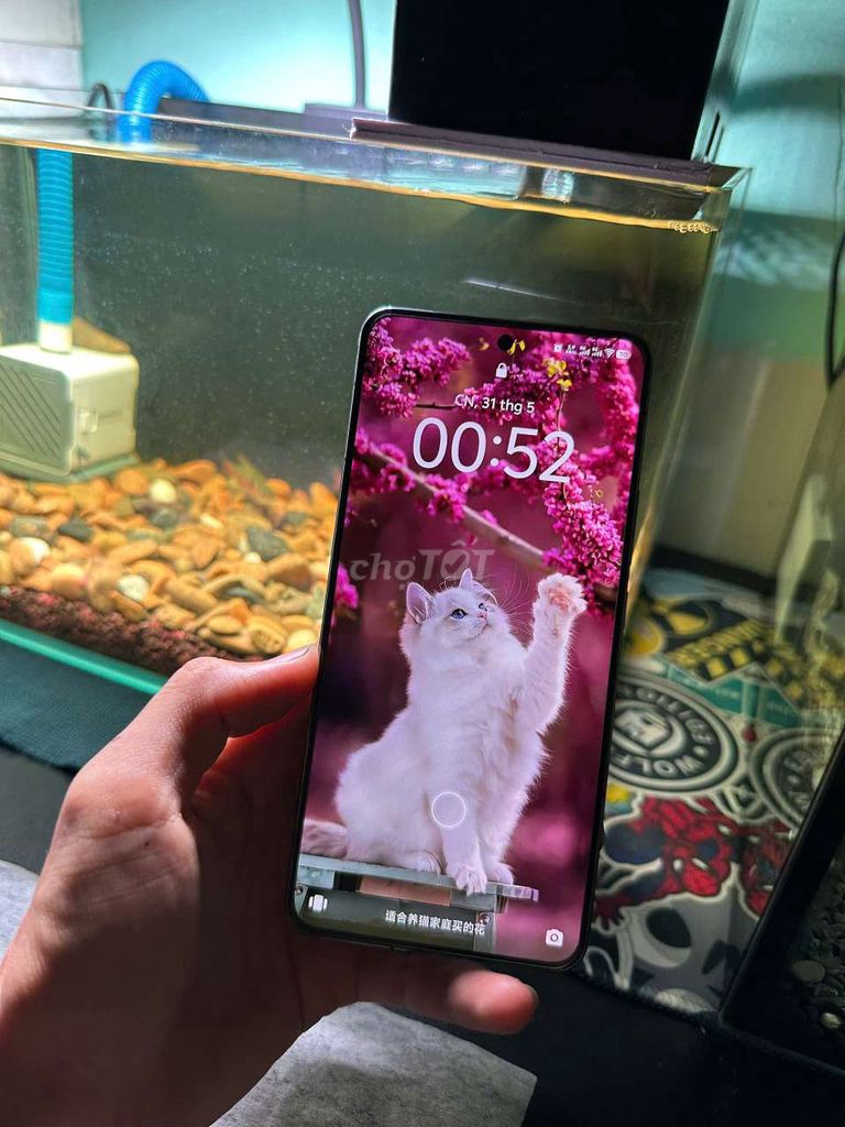 Vivo iQOO 13 256GB Đen. Mua bán Điện thoại tại Thị xã Bến Cát Bình Dương được đăng bởi Mê Công Nghệ hình 1