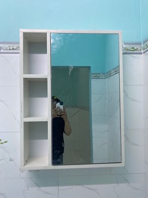 tủ nhà tắm nhựa cao cấp ecoplast chống nước,ẩm móc