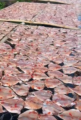 Khô cá đù lưới Vũng Tàu. Mua bán Đồ ăn, thực phẩm và các loại khác tại Thành phố Thủ Đức Tp Hồ Chí Minh được đăng bởi NGỌC TUYỀN