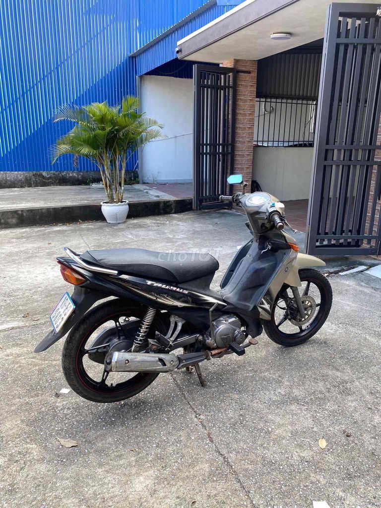 Золотой песчаный номер Yamaha Taurus