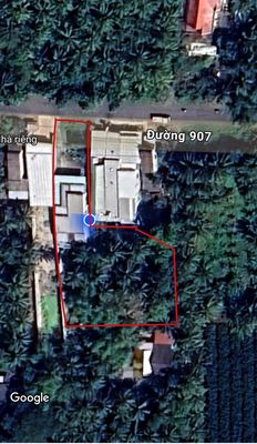 CHÍNH CHỦ CẦN BÁN MẶT TIỀN  - DT 1999m2 - HUYỆN TRÀ ÔN TỈNH VĨNH LONG. Mua bán đất tại Huyện Trà Ôn Vĩnh Long được đăng bởi Ngọc Thúy Nguyễn