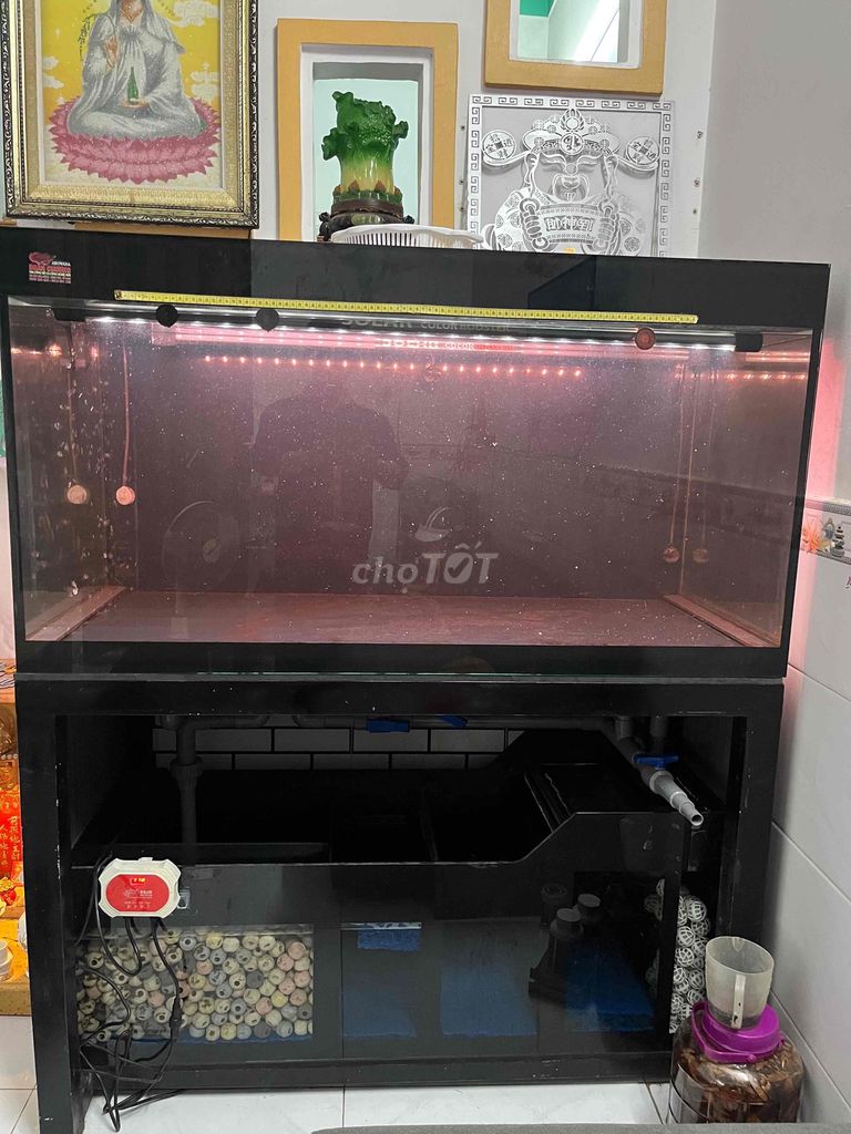 Hồ cá cảnh  1m33x68x68cm 4 lớp đáy. Mua bán Phụ kiện, Thức ăn, Dịch vụ tại Huyện Bình Chánh Tp Hồ Chí Minh được đăng bởi Nguyễn Quốc Kiệt  hình 1