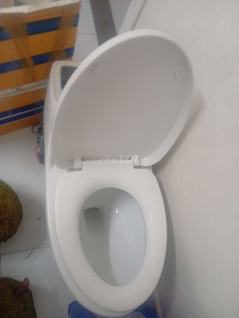 bồn cầu 1 khối men sáng đẹp