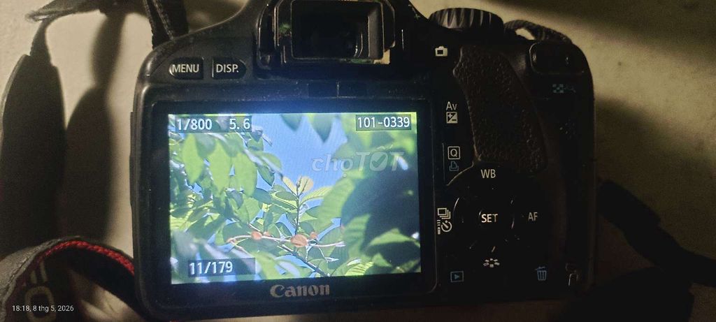 Máy ảnh Canon 550D. Mua bán Máy ảnh, Máy quay tại Huyện Nhơn Trạch Đồng Nai được đăng bởi Kyanhtrinh hình 1