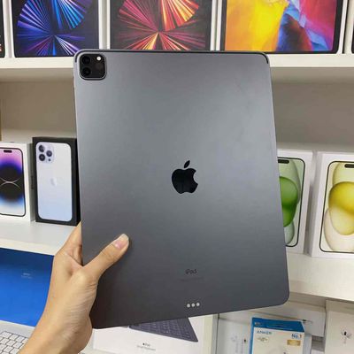 iPad Pro 12.9 M1 Wifi 256Gb Gray 99%