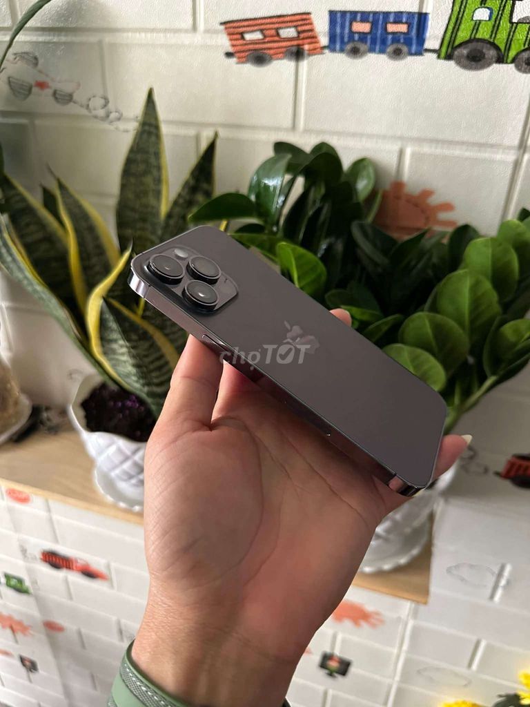 Apple iPhone 14 Pro 256GB Đã dùng. Mua bán Điện thoại tại Thành phố Đà Lạt Lâm Đồng được đăng bởi BẢO SƠN PHẠM hình 1