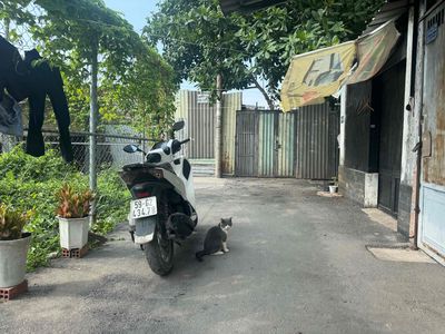 Đất P15, Gò Vấp, DT: 4,5 X 15, sổ. Mua bán đất tại Quận Gò Vấp Tp Hồ Chí Minh được đăng bởi A Kiên