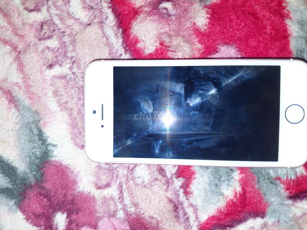 Apple iPhone SE Hồng Đã qua sử dụng. Mua bán Điện thoại tại Huyện Thanh Bình Đồng Tháp được đăng bởi lu hình 1