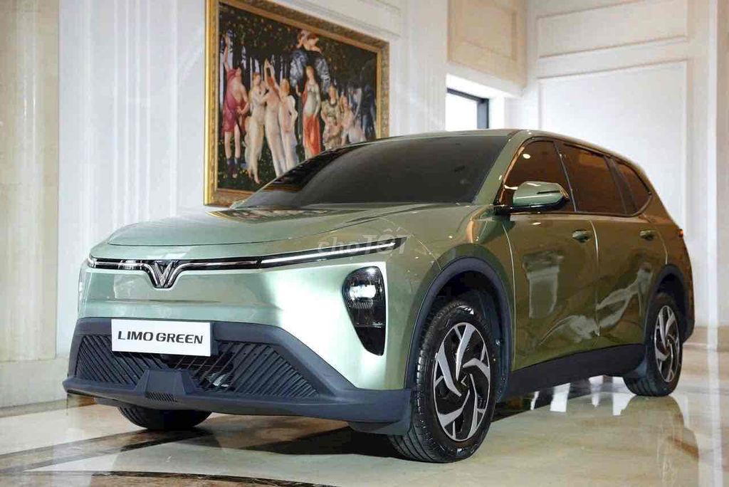 VinFast Limo Green 75Tr nhận xe ngay, bao nợ xấu. Mua bán Ô tô tại Thành phố Tây Ninh Tây Ninh được đăng bởi Ô Tô Miền Nam hình 2