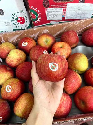 🍎 Táo Nam Phi  Trucape chủng Red Fuji. Mua bán Đồ ăn, thực phẩm và các loại khác tại Quận Tân Phú Tp Hồ Chí Minh được đăng bởi NGỌC DUYÊN