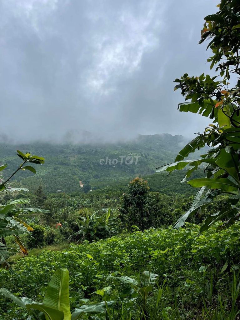 Chính chủ bán đất 2MT quy hoạch thổ cư, view hồ ngọc. Mua bán đất tại Huyện Bảo Lâm Lâm Đồng được đăng bởi Ngọc Lâm hình 1