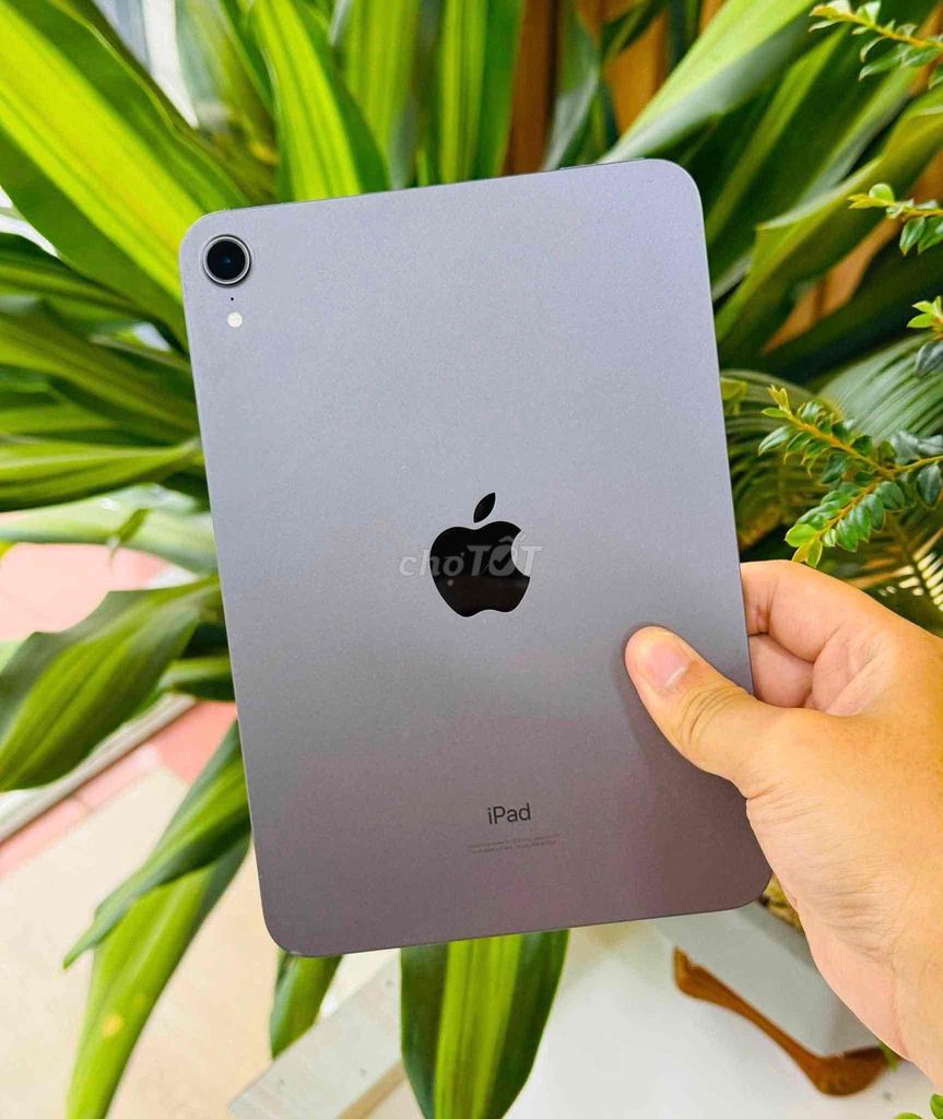 Apple iPad mini 6 Wifi 256GB Space Grey. Mua bán Máy tính bảng tại Quận Đống Đa Hà Nội được đăng bởi Lục Xuân Nguyên hình 1