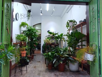 Townhouse 30 m² · 1 bed · Kosmo Tây Hồ