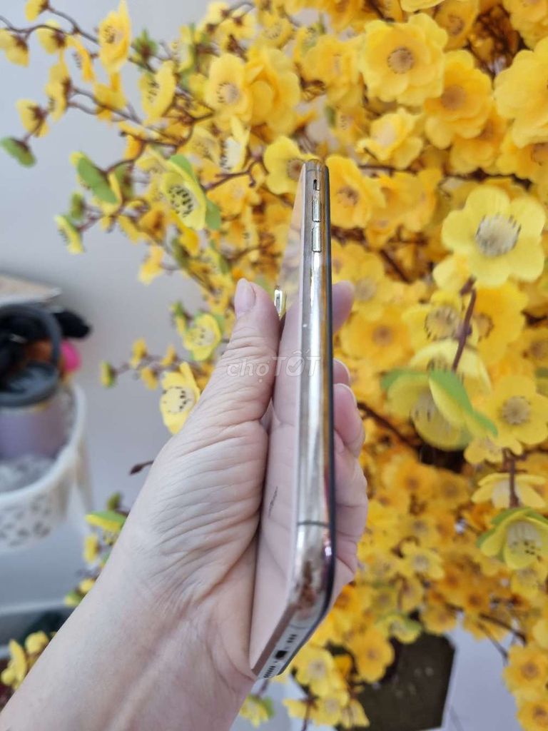 iPhone XS 64GB Vàng hồng