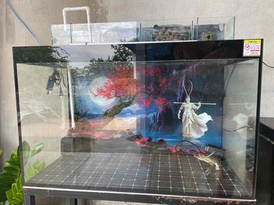 bể nuôi cá. Mua bán Phụ kiện, Thức ăn, Dịch vụ tại Huyện Long Thành Đồng Nai được đăng bởi Phạm Văn Cường