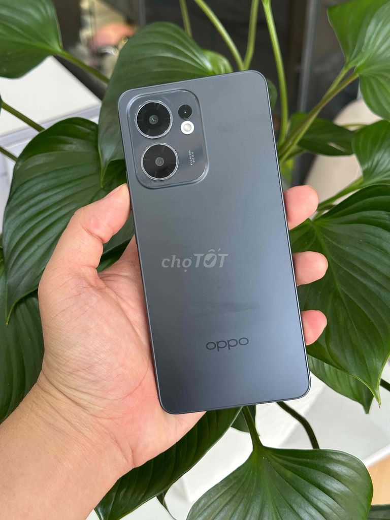 Oppo Reno 13F 8/256GB VN Zin Keng Bh 4/2027. Mua bán Điện thoại tại Quận Ninh Kiều Cần Thơ được đăng bởi Quý Mobile Cần thơ hình 1