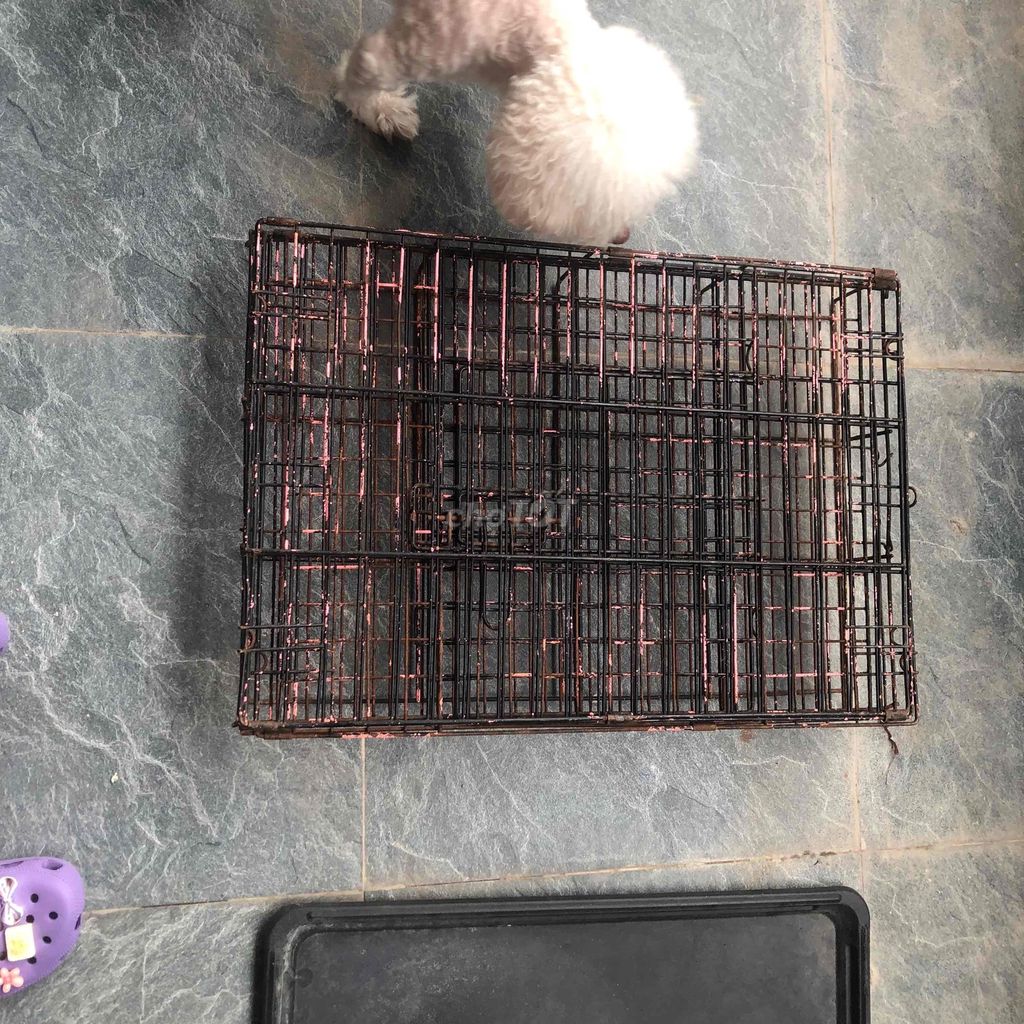 Lồng thú cưng Kim loại Đen. Mua bán Phụ kiện, Thức ăn, Dịch vụ tại Quận Ngũ Hành Sơn Đà Nẵng được đăng bởi Thanh hình 1
