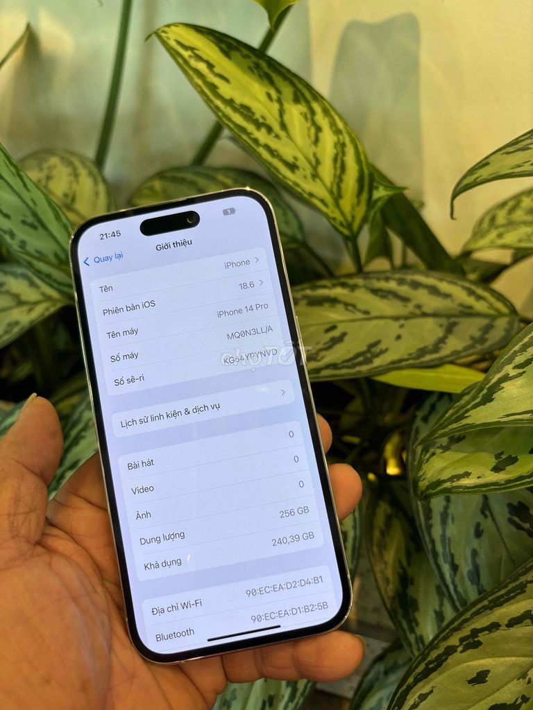 Apple iPhone 14 Pro 256GB Trắng Mỹ. Mua bán Điện thoại tại Thành phố Biên Hòa Đồng Nai được đăng bởi thanh hình 1