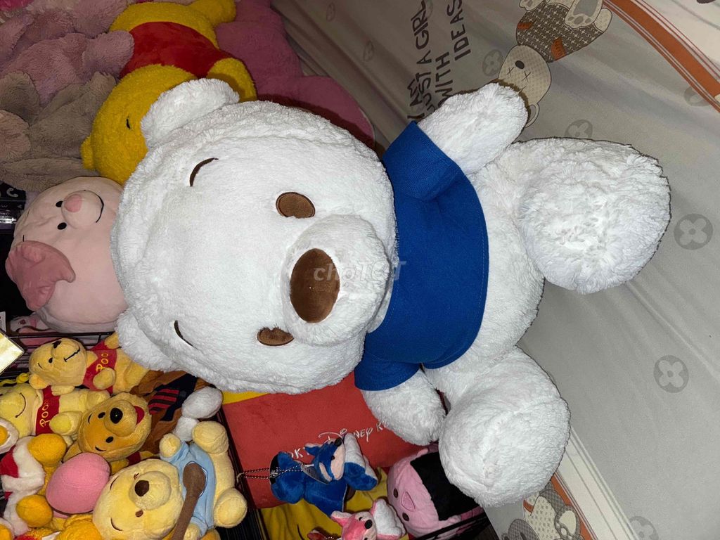 Gấu bông pooh mới to 70cm