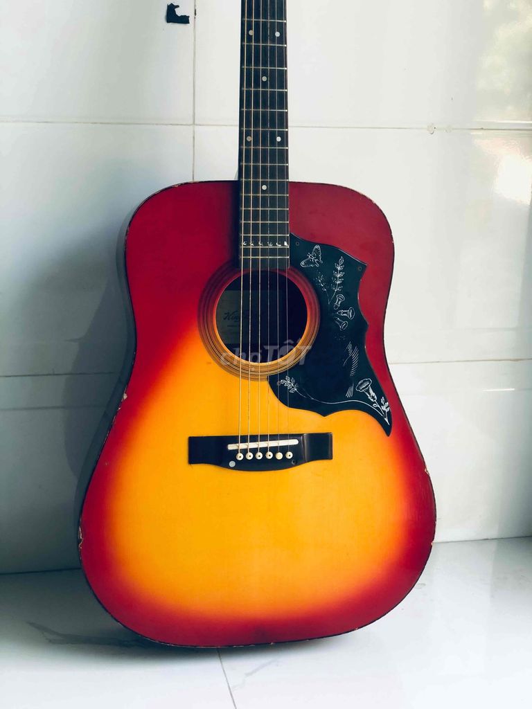 Guitar Nhật cũ hiệu King Bird còn chơi rất tốt