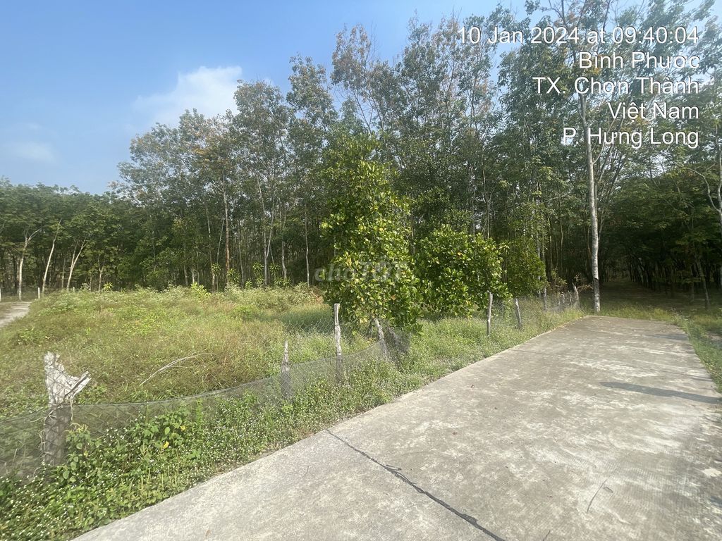Thanh lý 751m2 đất thổ - vườn tại Chơn Thành, Bình Phước