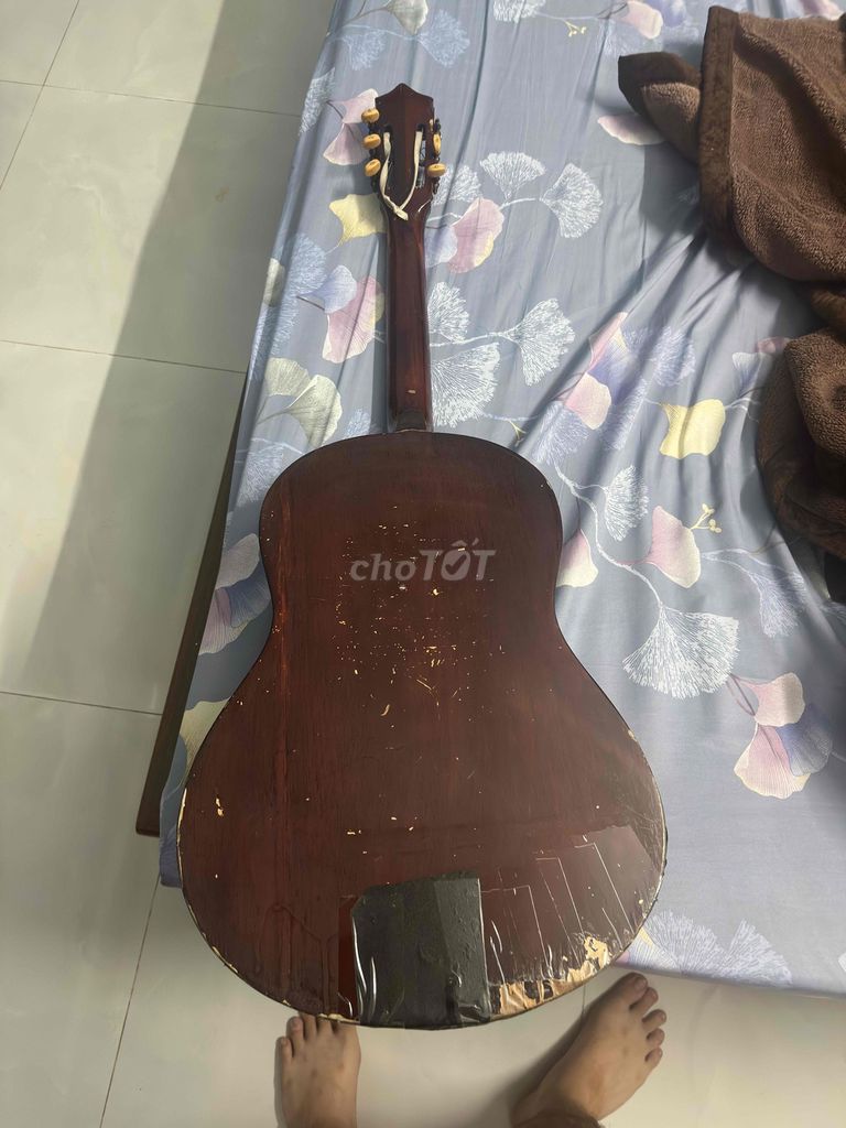 Đàn Guitar Gỗ Nâu Đã Sử Dụng. Mua bán Nhạc cụ tại Quận Tân Bình Tp Hồ Chí Minh được đăng bởi khoi hình 1