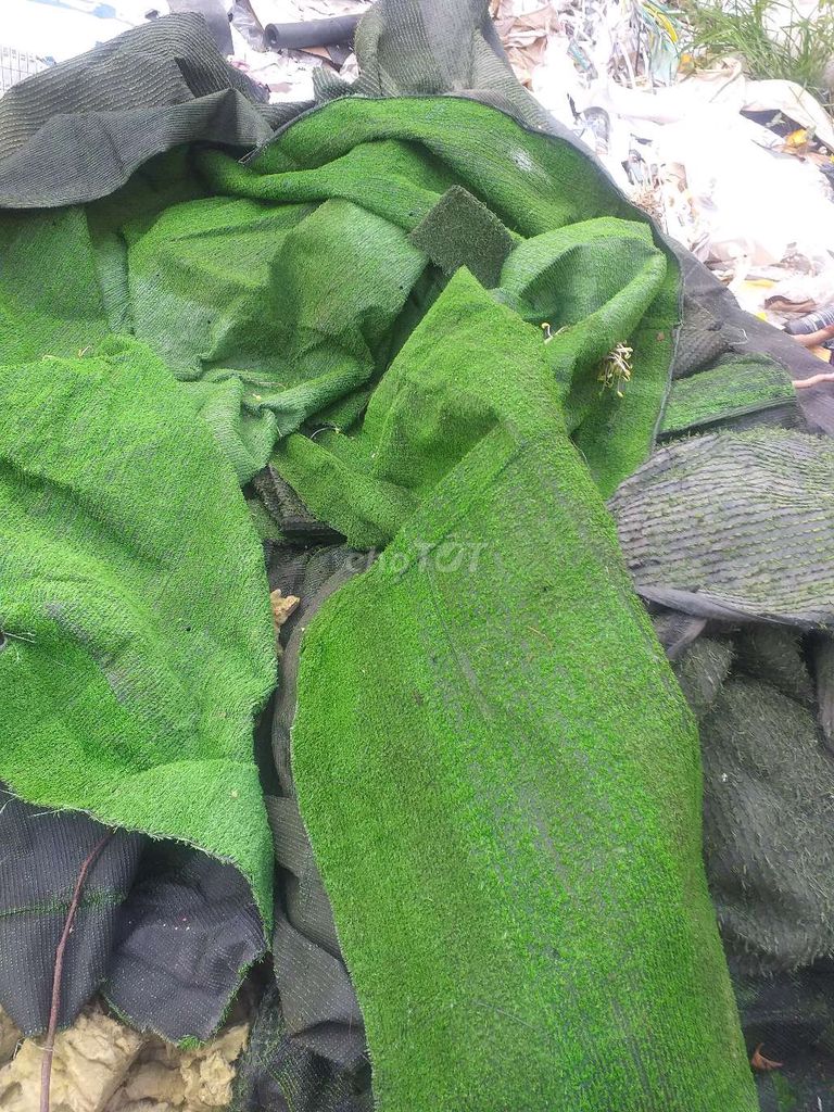 Cỏ nhân tạo nhựa xanh lá. Mua bán Cây cảnh, đồ trang trí tại Thành phố Thủ Đức Tp Hồ Chí Minh được đăng bởi Hoàng hình 1