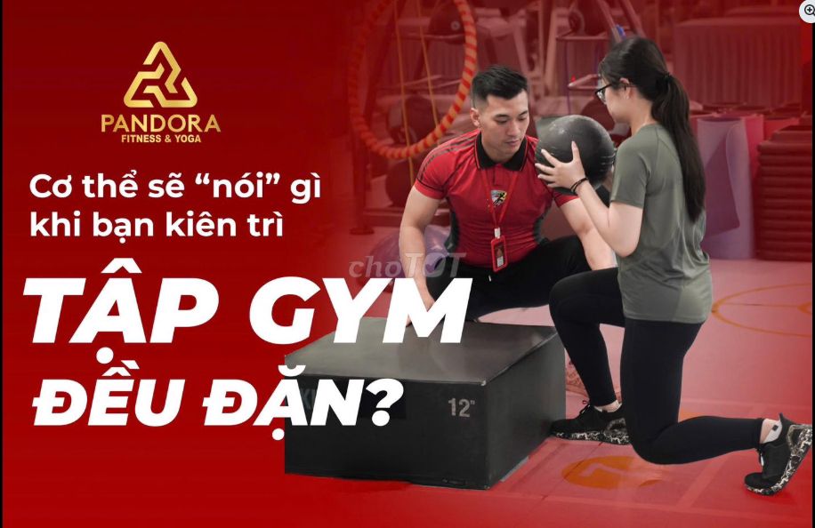Sang nhượng thẻ tập gym Full chi nhánh