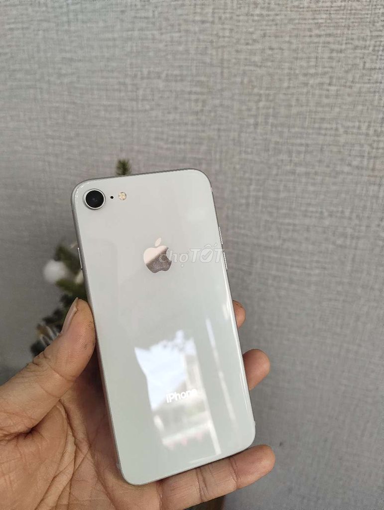 Apple iPhone 8 64GB Trắng. Mua bán Điện thoại tại Thành phố Buôn Ma Thuột Đắk Lắk được đăng bởi MNmobile hình 1