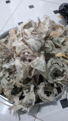 yến nhà nuôi. Mua bán Đồ ăn, thực phẩm và các loại khác tại Quận Bình Tân Tp Hồ Chí Minh được đăng bởi yến sào Nhất Khang