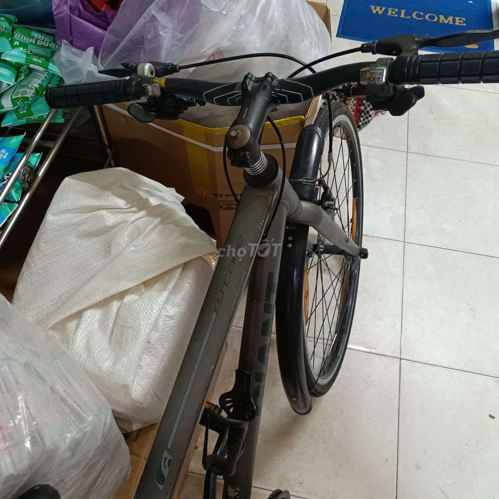 XE ĐẠP TT MỚI 90%, GHÉ NHÀ LẤY CÓ FIX. Mua bán Xe đạp tại Quận 11 Tp Hồ Chí Minh được đăng bởi Trần Uyển My hình 5