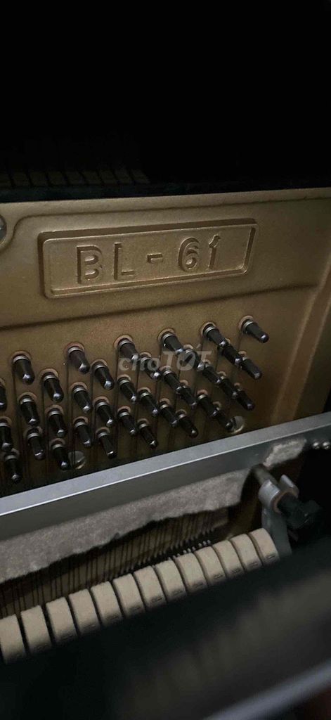 Đàn piano Kawai BL-61 Đen. Mua bán Nhạc cụ tại Quận 8 Tp Hồ Chí Minh được đăng bởi Tay Vo hình 1