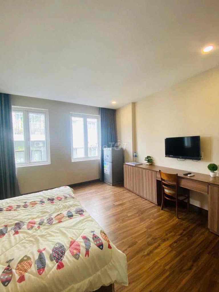 🔥CĂN HỘ STUDIO 30m2 CỬA SỔ THANG MÁY FULL NỘI THẤT NÚI THÀNH TÂN BÌNH - ảnh 3